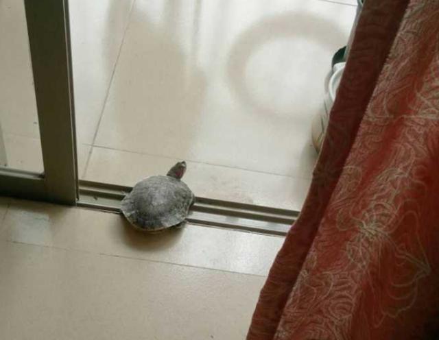 第176页